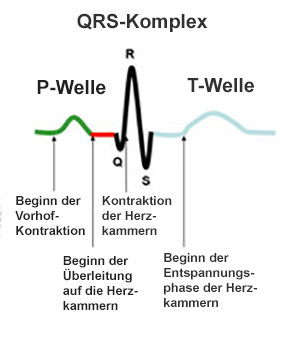 Herzfunktionen anhand einer Grafik